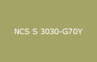 BELUSIL 010 Silikon NCS S 3030 G70Y