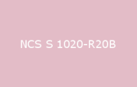 BELUSIL 010 Silikon NCS S 1020 R20B