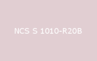 BELUSIL 010 Silikon NCS S 1010 R20B