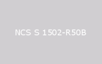 BELUSIL 010 Silikon NCS S 1502 R50B