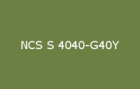 BELUSIL 010 Silikon NCS S 4040 G40Y