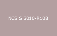 BELUSIL 010 Silikon NCS S 3010 R10B
