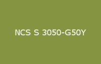 BELUSIL 010 Silikon NCS S 3050 G50Y