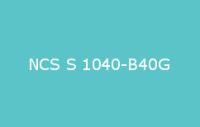 BELUSIL 010 Silikon NCS S 1040 B40G