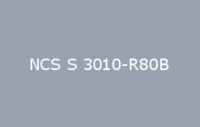 BELUSIL 010 Silikon NCS S 3010 R80B