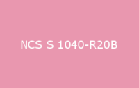 BELUSIL 010 Silikon NCS S 1040 R20B