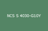 BELUSIL 010 Silikon NCS S 4030 G10Y