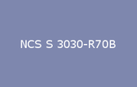 BELUSIL 010 Silikon NCS S 3030 R70B