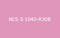 BELUSIL 010 Silikon NCS S 1040 R30B