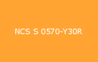 BELUSIL 010 Silikon NCS S 0570 Y30R
