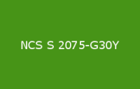 BELUSIL 010 Silikon NCS S 2075 G30Y