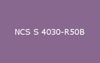 BELUSIL 010 Silikon NCS S 4030 R50B