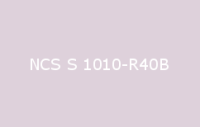BELUSIL 010 Silikon NCS S 1010 R40B