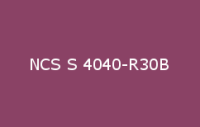 BELUSIL 010 Silikon NCS S 4040 R30B