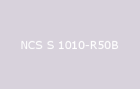 BELUSIL 010 Silikon NCS S 1010 R50B