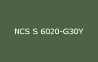 BELUSIL 010 Silikon NCS S 6020 G30Y