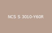 BELUSIL 010 Silikon NCS S 3010 Y60R