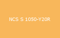 BELUSIL 010 Silikon NCS S 1050 Y20R