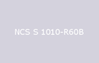 BELUSIL 010 Silikon NCS S 1010 R60B