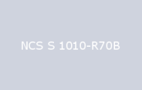 BELUSIL 010 Silikon NCS S 1010 R70B