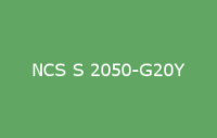 BELUSIL 010 Silikon NCS S 2050 G20Y