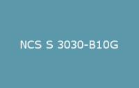 BELUSIL 010 Silikon NCS S 3030 B10G