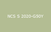 BELUSIL 010 Silikon NCS S 2020 G50Y