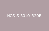 BELUSIL 010 Silikon NCS S 3010 R20B