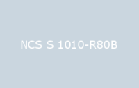 BELUSIL 010 Silikon NCS S 1010 R80B