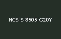BELUSIL 010 Silikon NCS S 8505 G20Y