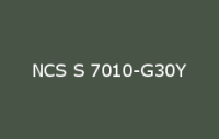 BELUSIL 010 Silikon NCS S 7010 G30Y