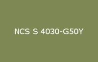 BELUSIL 010 Silikon NCS S 4030 G50Y