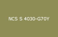 BELUSIL 010 Silikon NCS S 4030 G70Y