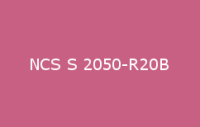 BELUSIL 010 Silikon NCS S 2050 R20B