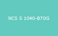 BELUSIL 010 Silikon NCS S 1040 B70G