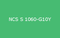 BELUSIL 010 Silikon NCS S 1060 G10Y