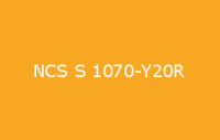 BELUSIL 010 Silikon NCS S 1070 Y20R