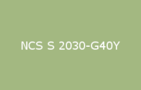 BELUSIL 010 Silikon NCS S 2030 G40Y