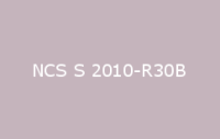 BELUSIL 010 Silikon NCS S 2010 R30B