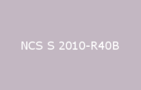 BELUSIL 010 Silikon NCS S 2010 R40B