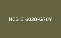 BELUSIL 010 Silikon NCS S 6020 G70Y