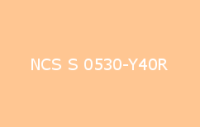 BELUSIL 010 Silikon NCS S 0530 Y40R