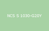 BELUSIL 010 Silikon NCS S 1030 G20Y