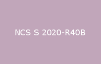 BELUSIL 010 Silikon NCS S 2020 R40B
