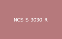 BELUSIL 010 Silikon NCS S 3030 R