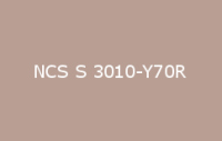 BELUSIL 010 Silikon NCS S 3010 Y70R