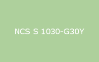 BELUSIL 010 Silikon NCS S 1030 G30Y
