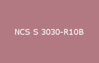 BELUSIL 010 Silikon NCS S 3030 R10B