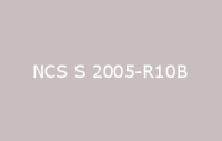 BELUSIL 010 Silikon NCS S 2005 R10B
