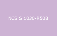 BELUSIL 010 Silikon NCS S 1030 R50B